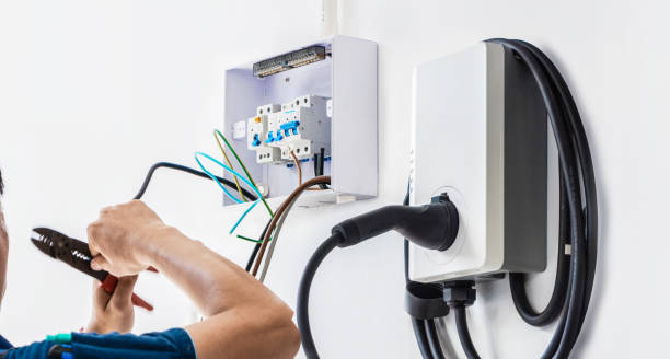 Best Electric Panel Repair  in Garrison, TX