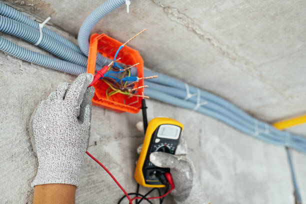 Best Electrical System Inspection  in Garrison, TX